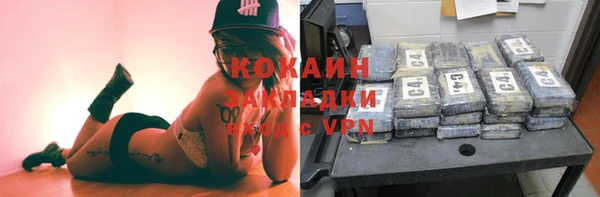 дмт Арсеньев