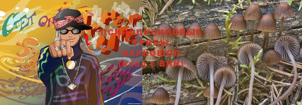 дмт Арсеньев