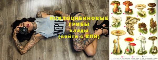 прущие крисы Аркадак